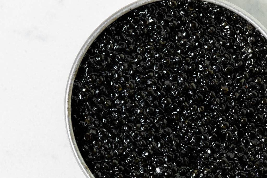 Hackleback Caviar Wholesale
