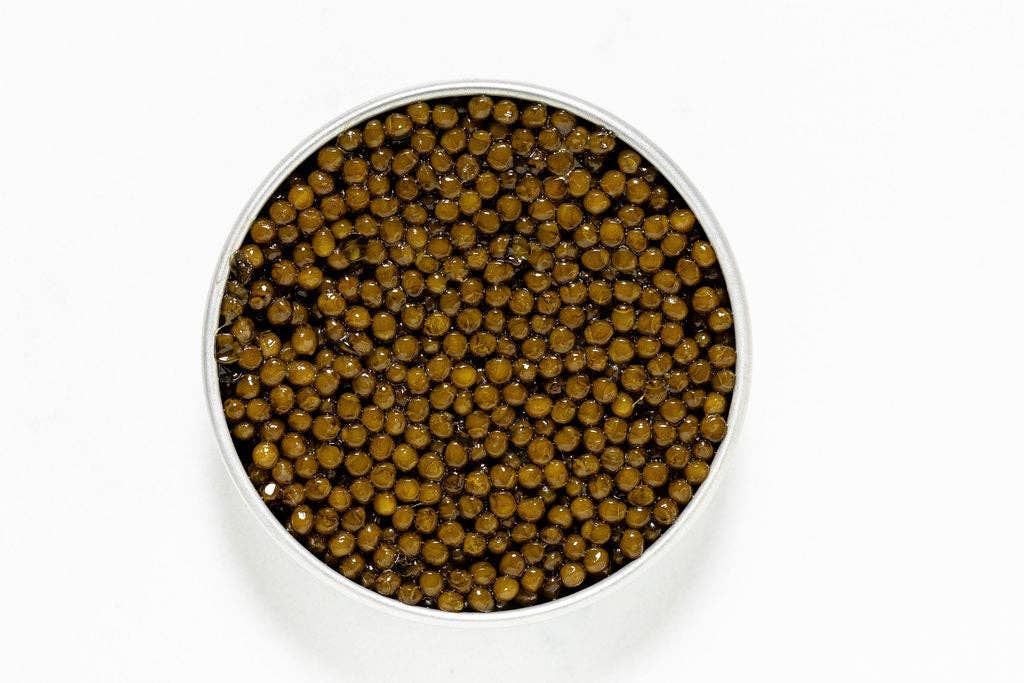 Kaluga Hybrid Wholesale